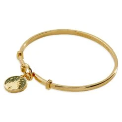 Disney Fantasyland Castle ''Magical Day At The Park'' Bracelet By Alex And Ani -Disney 4300106750030 2