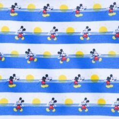 Disney Mickey Mouse Summer T-Shirt And Shorts Set For Baby -Disney 5000059580313 4